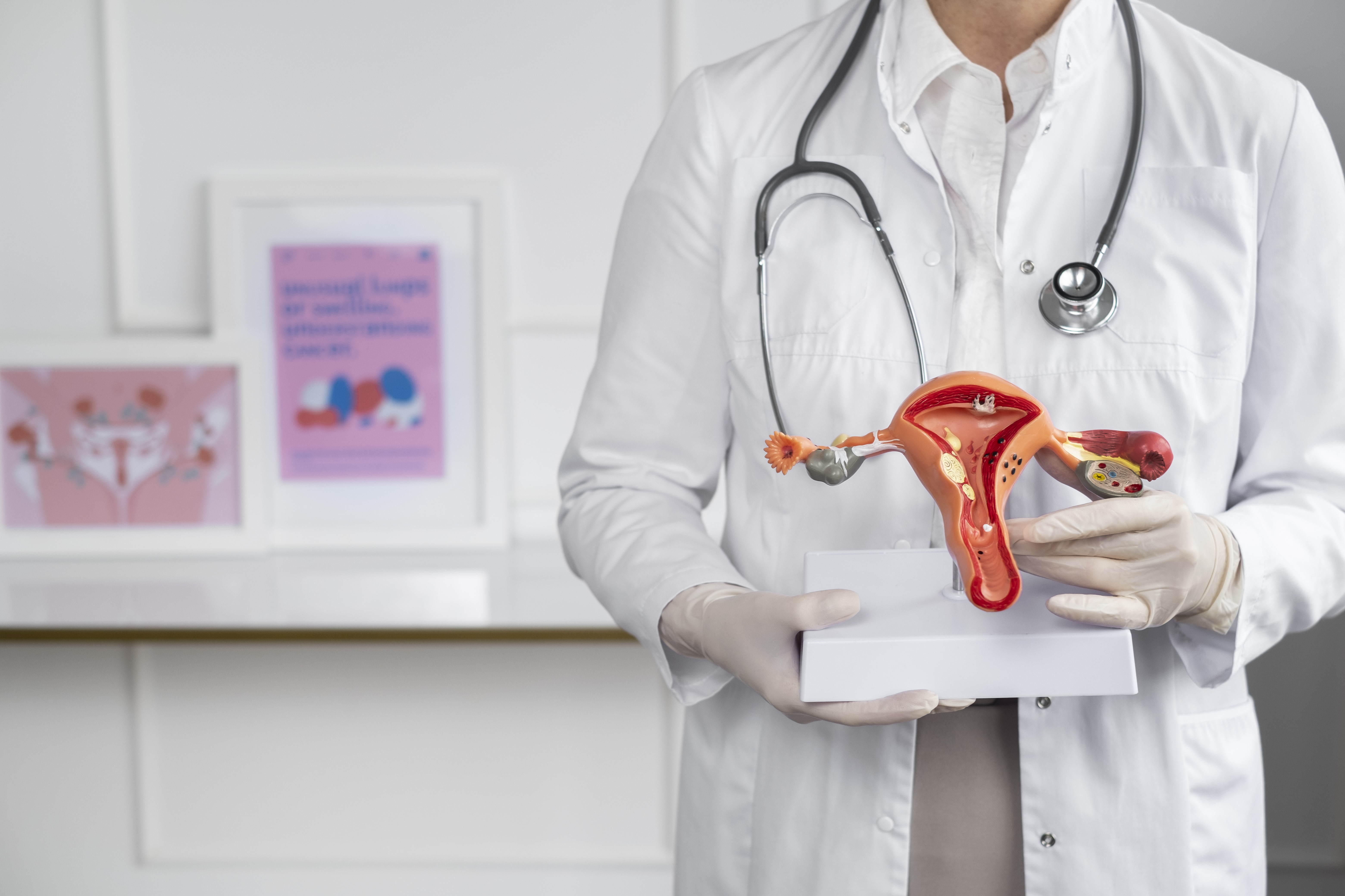 Common Menstrual Problems Guide